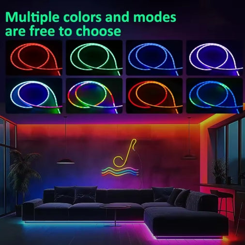 Neon Rope Lights